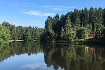 Walking at Mallards Pike Lake